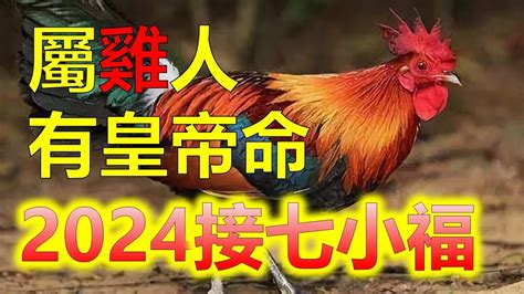 屬雞適合的顏色|【雞 幸運色】2024雞年幸運色大公開！屬雞者必看，助你新年好。